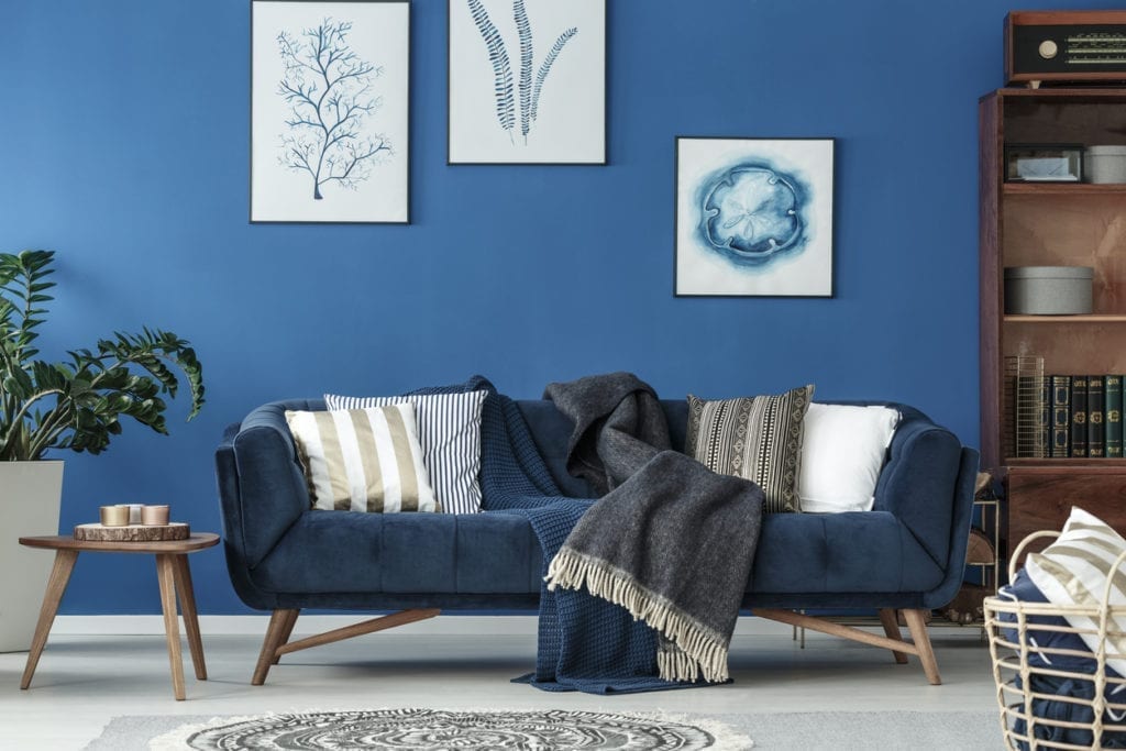 A stylish room with blue walls and a comfortable couch.
