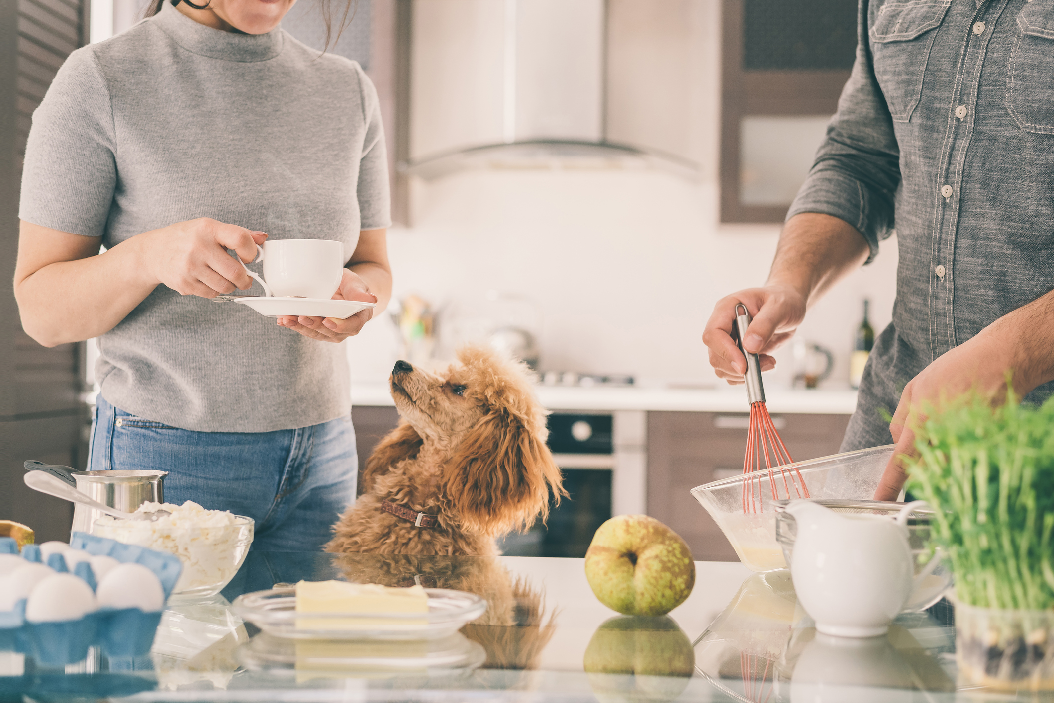 Couple with dog is making breakfast .