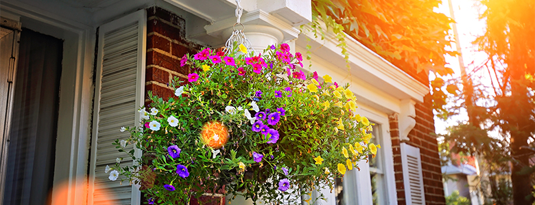 5 Simple Tips For Boosting Spring Curb Appeal | Woolcott Realty Inc.