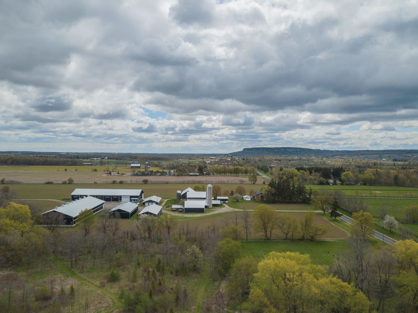 6751 Walkers Line WOOLCOTT